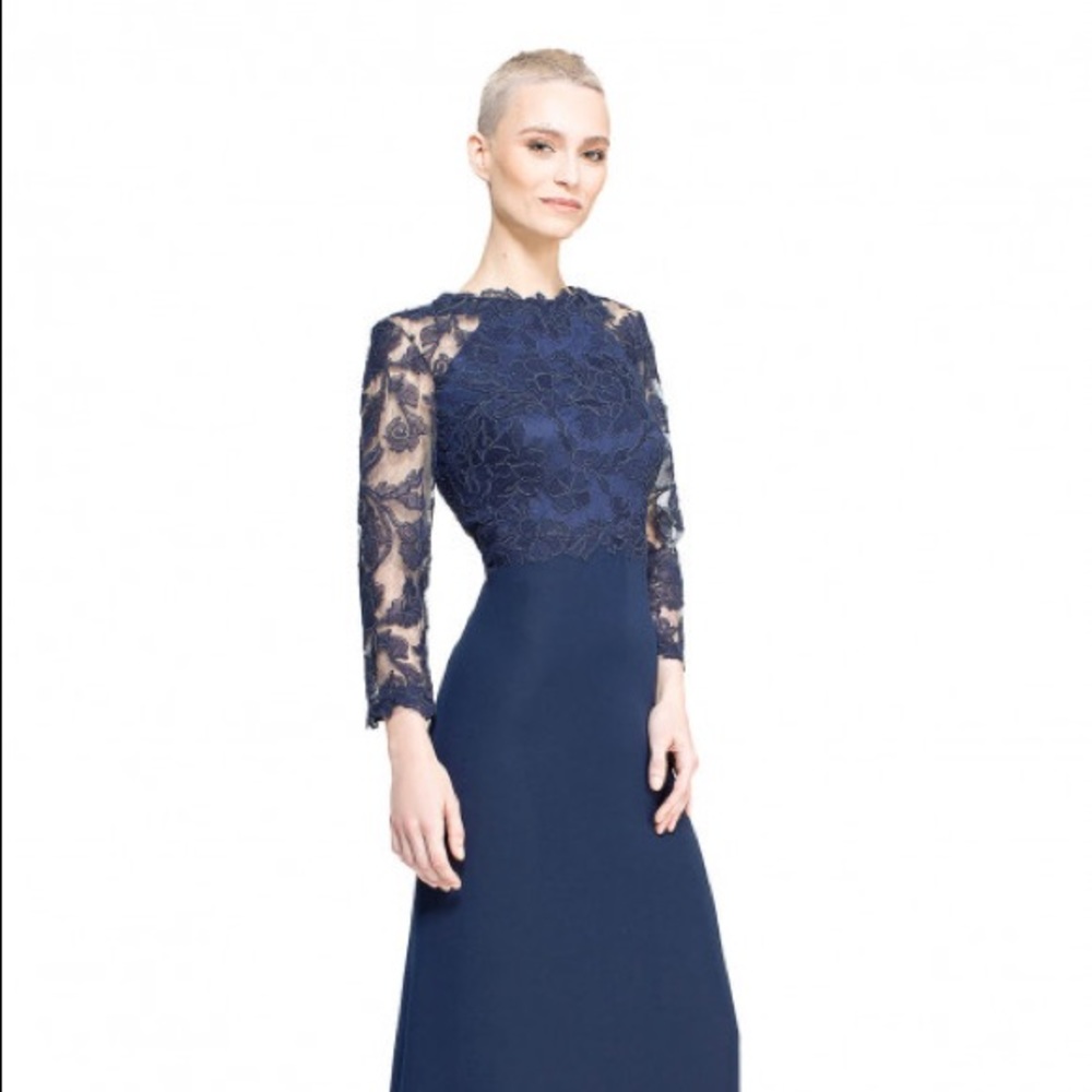 Tadashi Shoji Peony Embroidered Gown